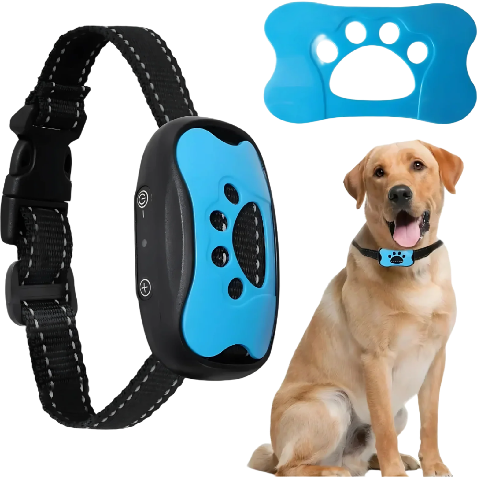Bark Training Collar