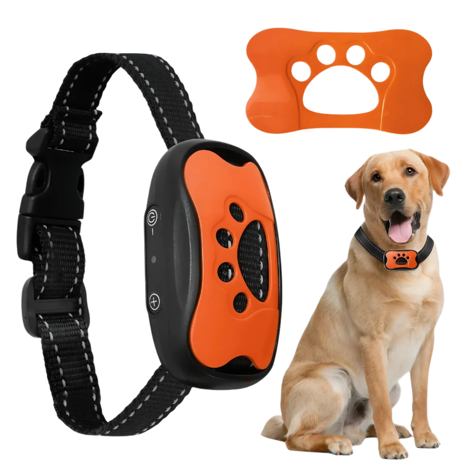Bark Training Collar