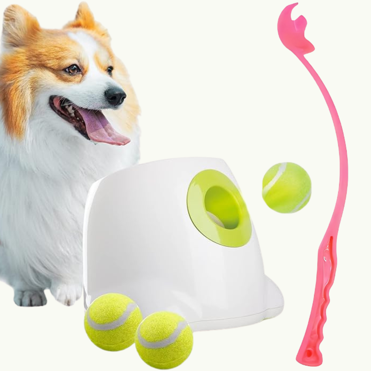 Indoor & Outdoor Launcher