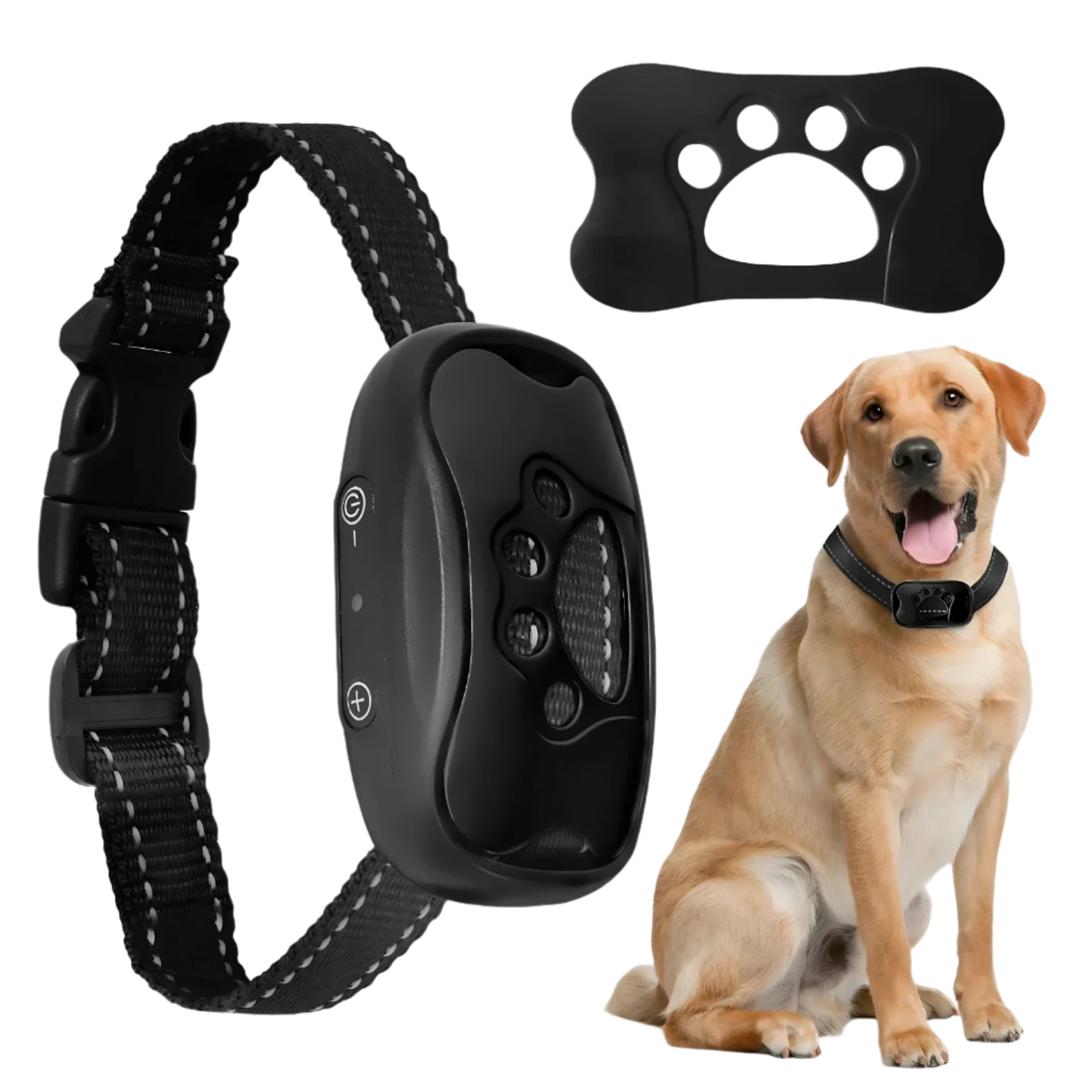 Bark Training Collar