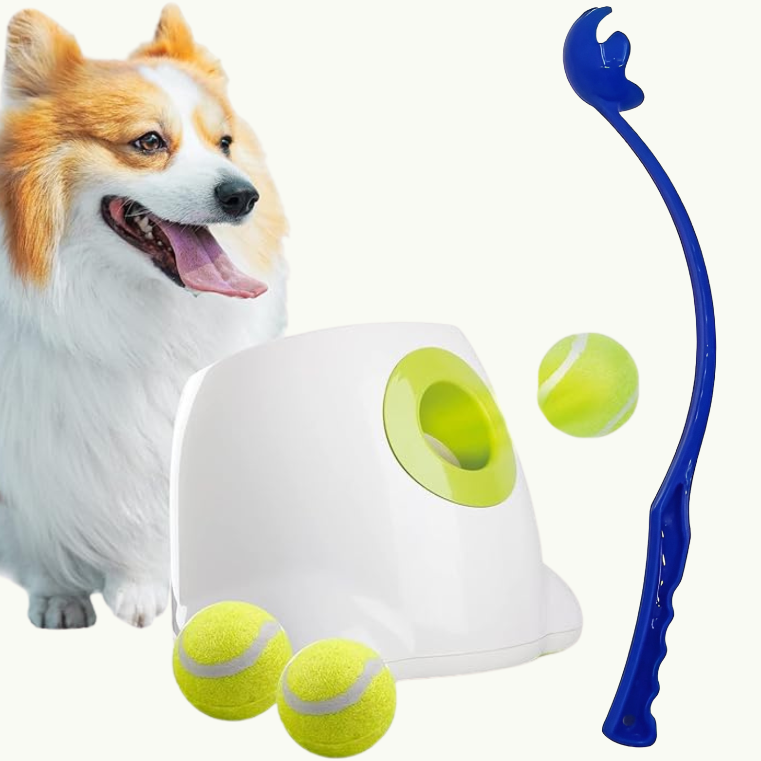 Indoor & Outdoor Launcher