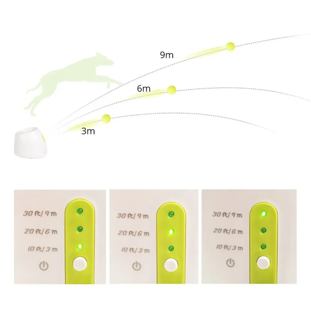 Pet Ball Launcher