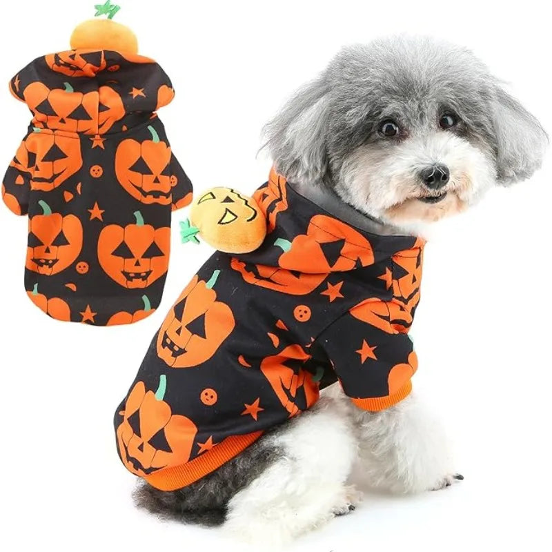 Pumpkin Pup