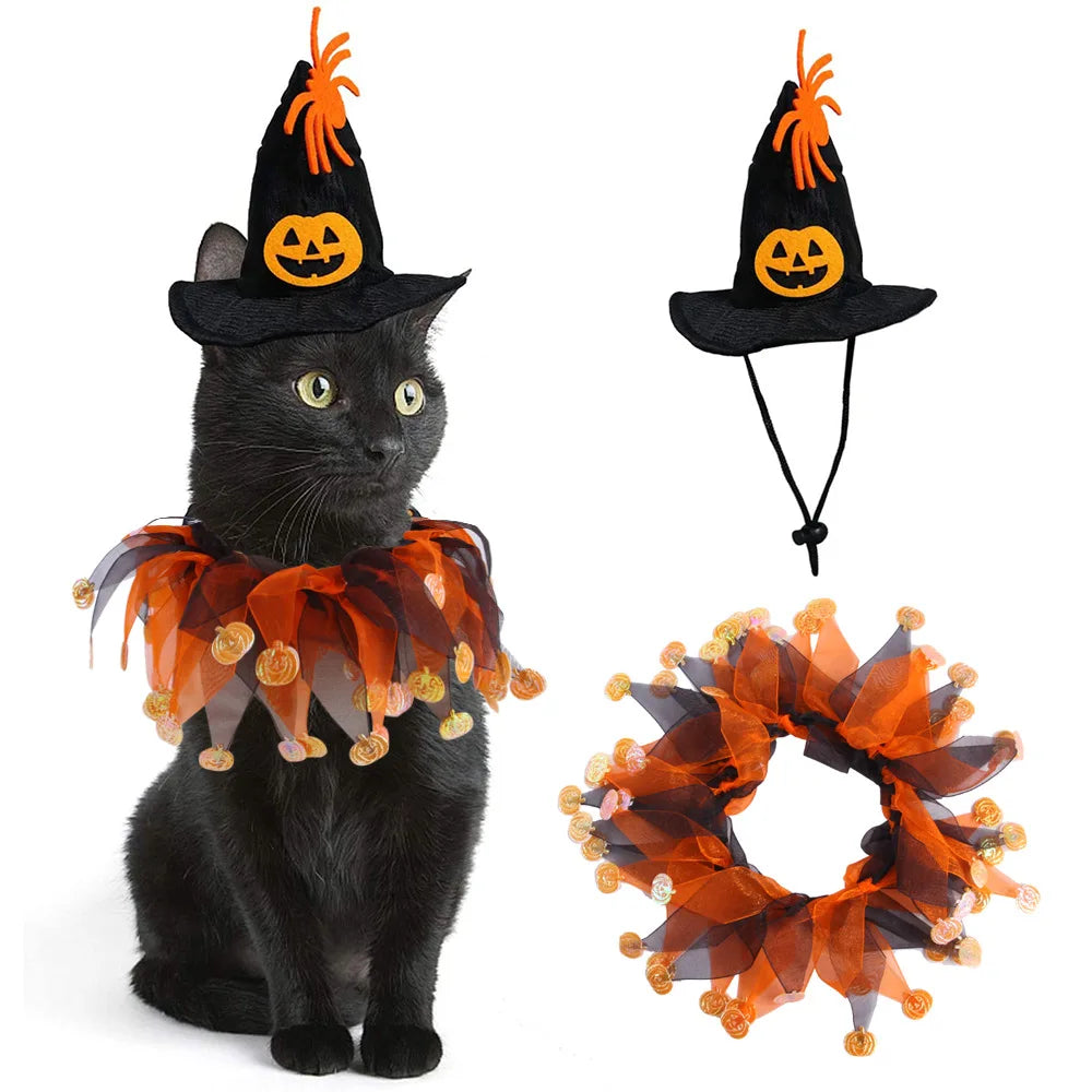 WitchyPaw