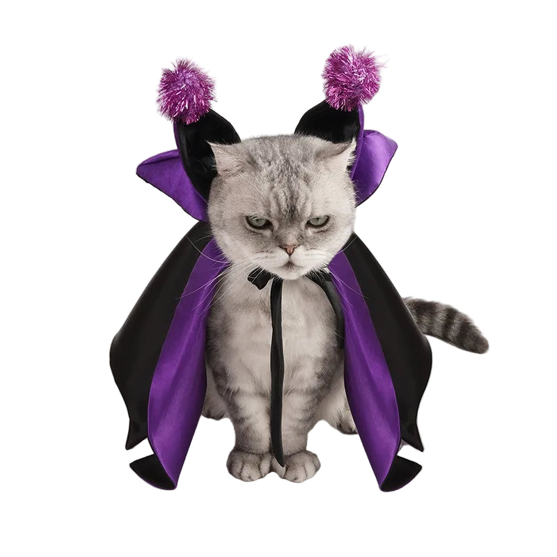 DevilPaw