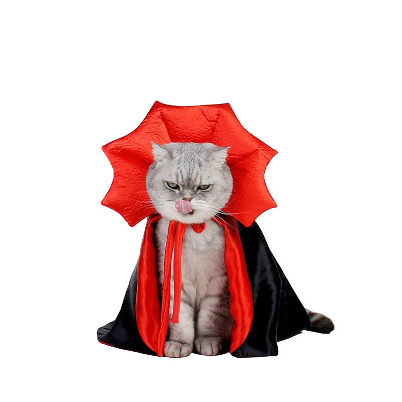 Dracula Costume