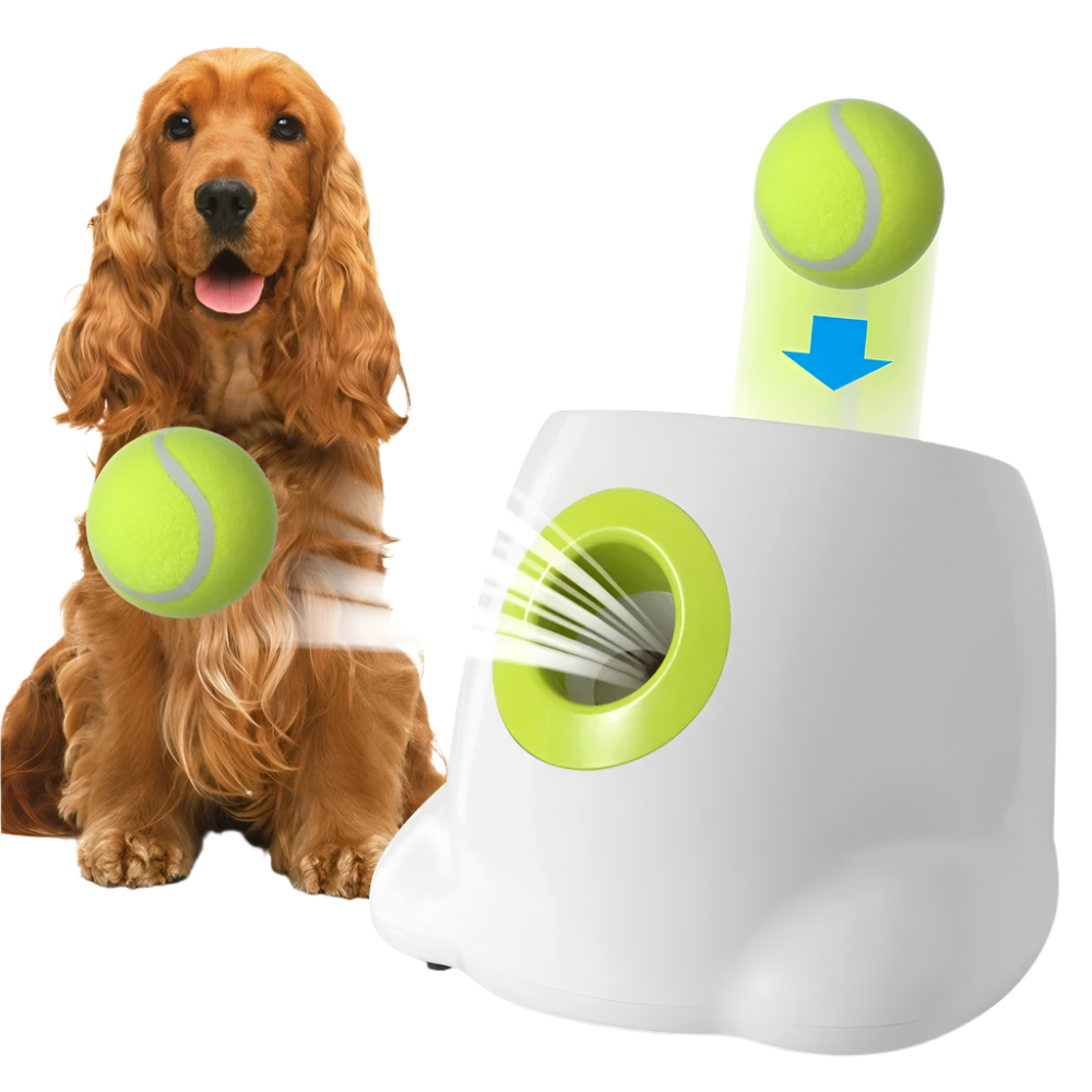 Pet Ball Launcher