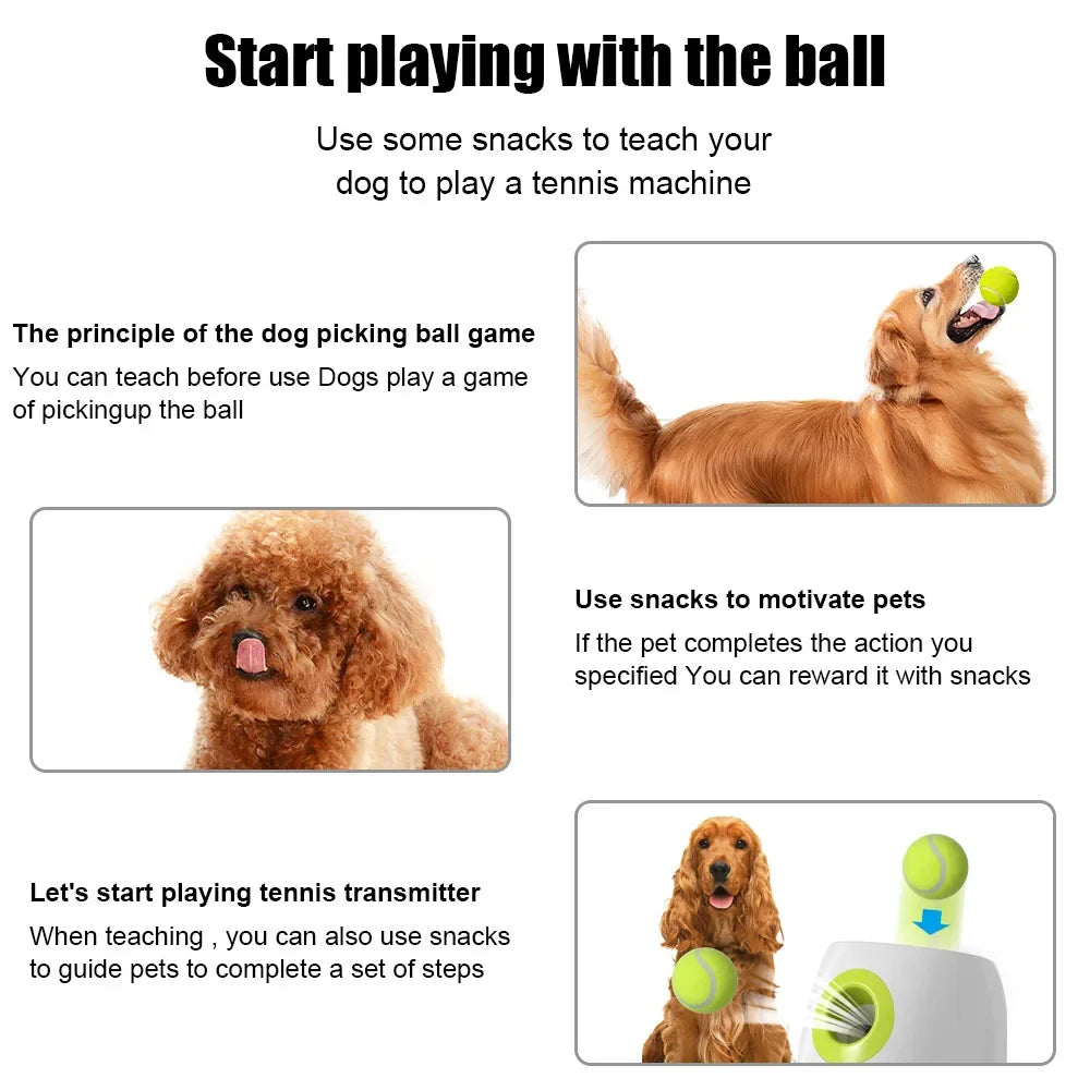 Pet Ball Launcher