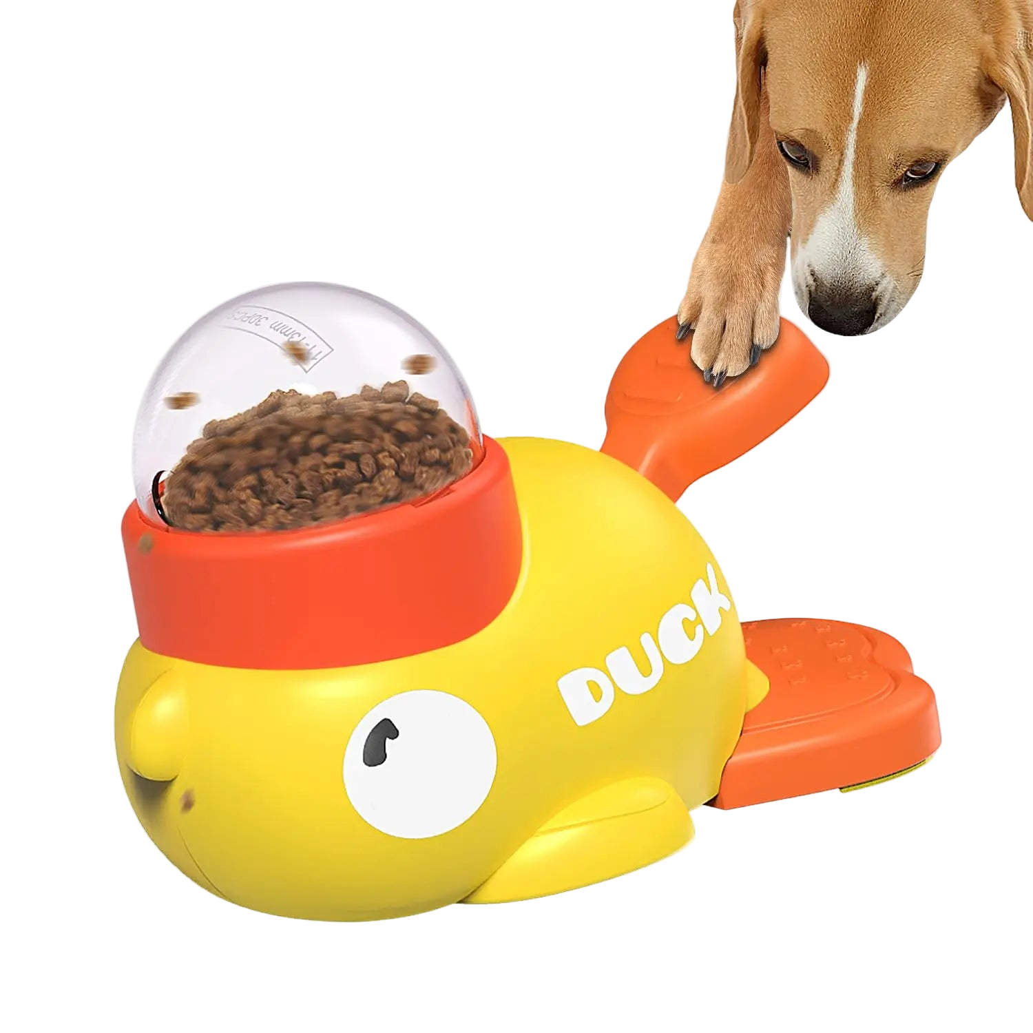 Interactive Duck Feeder